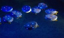 Enjambres de robots que se comportan como un banco de peces