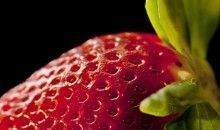 Las raíces, tallos y hojas de las fresas silvestres tienen propiedades nutritivas