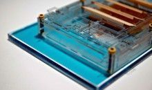 Logran generar electricidad a partir de la evaporación de esporas bacterianas