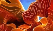 FECYT y CSIC convocan la 13ª edición del concurso Fotciencia