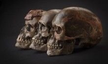 El ADN antiguo revela las migraciones en la Europa de la Edad de hielo