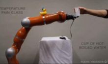 ¿Y si un robot sintiera dolor?