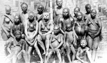 Descubierto un nuevo antepasado de los humanos