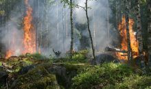 El cambio climático provocará un aumento de los incendios en la Europa mediterránea