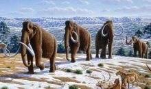 La humedad impulsó la extinción de la megafauna de la Edad de Hielo