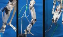 Crean músculos para robots más potentes que los de los animales