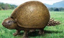 Encuentran fósiles de un Gliptodonte de hace 24.000 años en Argentina